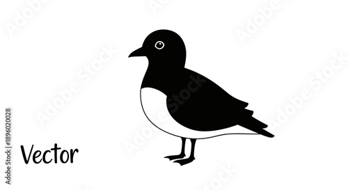 Simple Black and White Bird Illustration Vector.