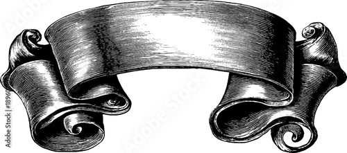 Vintage botanical scroll banner engraving - 19th century design for cards and posters