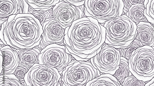 Dense pattern of blooming white roses with faint purple outlines creates a romantic and elegant floral background.