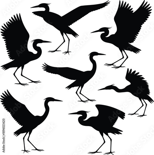 Heron bird silhouettes set with standing walking and wings spread poses black waterbird wildlife collection isolated on white background