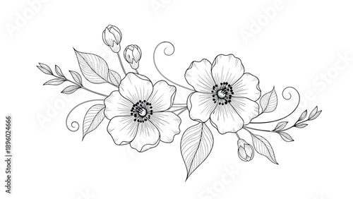 Delicate black and white line art illustration of two blooming wild rose flowers with small leaves and buds on white.