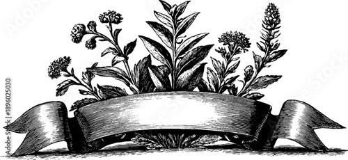 Vintage botanical badge and ribbon design for retro craft and decor