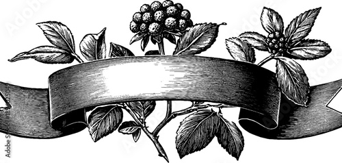 Vintage botanical badge banner with ribbon silhouette for design