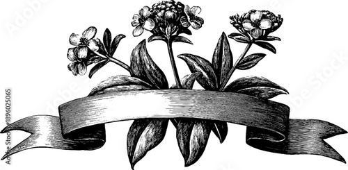 Vintage botanical badge with ribbon for retro label design