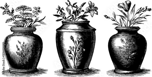Vintage ceramic vases with botanical engravings for interior decor and design