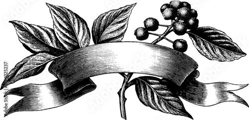 Vintage botanical emblem banner with ribbon tails for retro design