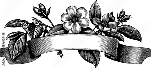 Elegant vintage botanical label with ribbon banner frame for design and decoration