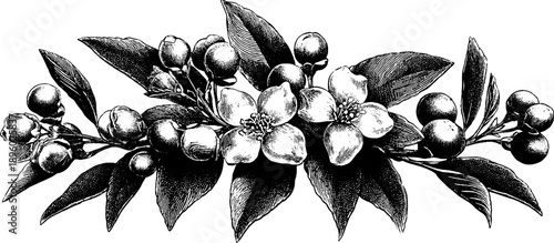 Vintage botanical rug pattern with floral and leaf details for retro design