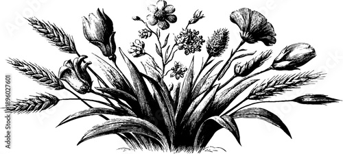 Vintage wild grasses and flowers bouquet botanical design for print or poster