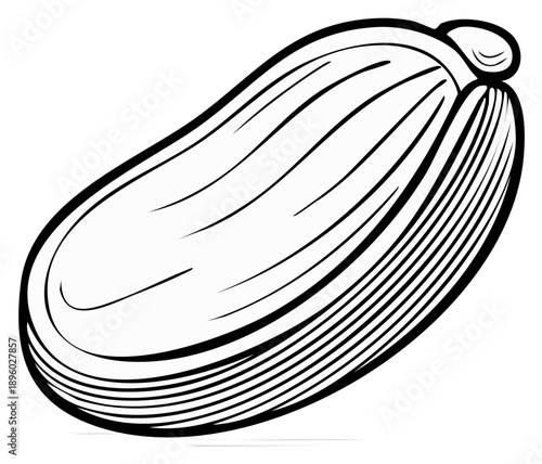 Zucchini Illustration Simple Black and White Line Art Graphic