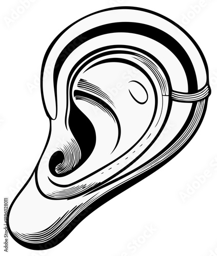 Illustration of a human ear, anatomical drawing, graphic black and white.