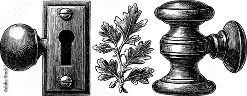 Ornate 19th century metal window latch and botanical engraving design