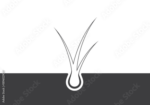 A simple line art illustration of human hair follicle and strand structure in black and white