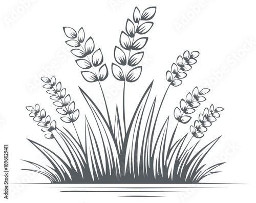 Stylized vector illustration of growing wheat stalks and grass in a minimalist design