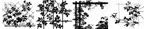 Elegant Silhouette of a Trellis with Vines