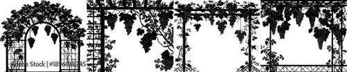 Elegant Black and White Garden Archway with Grapes Silhouette