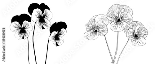 Elegant Silhouettes: Three Pansies in Black and White