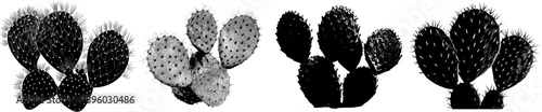 Cactus Silhouette: Prickly Pair Pads in the Desert