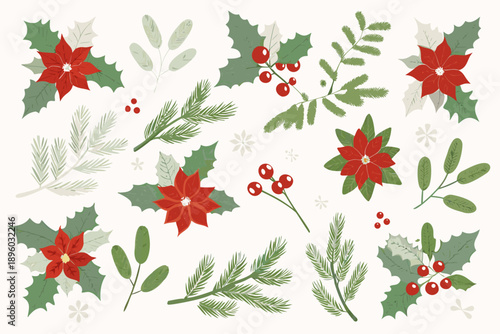 Festive botanical illustration featuring holly poinsettia and winter foliage