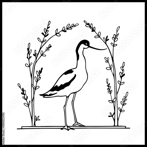 Vector card with hand drawn beautiful Pied Avocet in vintage floral laurel. Beautiful wildlife design elements, ink drawing, logo template