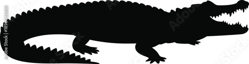 Crocodile silhouette isolated on white background, black and white reptile wildlife concept, dangerous predator animal, nature symbol, minimal vector illustration