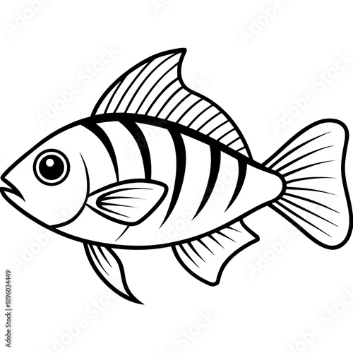 Electric Blue Acara line art vector