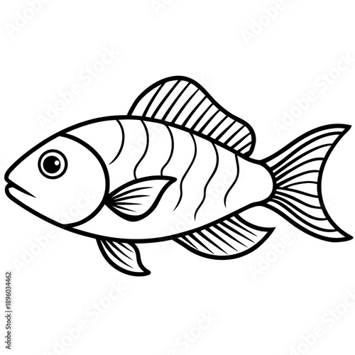 Electric Blue Acara line art vector