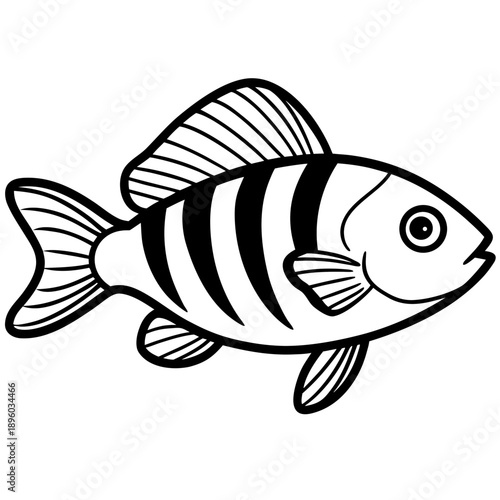 Electric Blue Acara line art vector