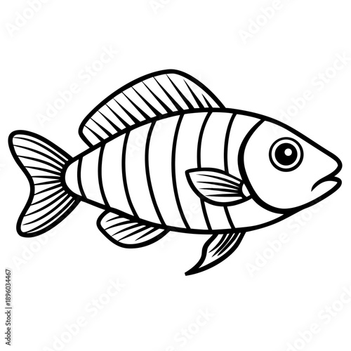 Electric Blue Acara line art vector