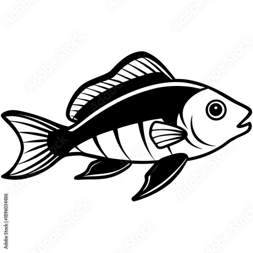 Electric Blue Acara line art vector