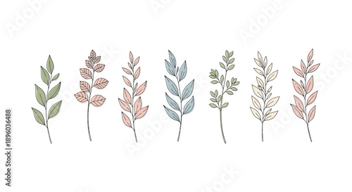 A collection of illustrated plants with varying leaf colors and arrangements on a white background