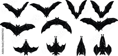 Black bat silhouettes collection, flying bats vector illustration set, spooky halloween creatures design elements, isolated nocturnal animals icons for gothic horror themes, wildlife.