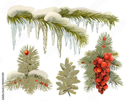 Winter foliage with snow icicles and red berries against a black background