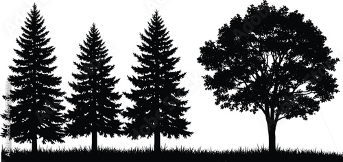 Black silhouette of pine trees and oak tree on grass field, nature landscape forest background isolated on white, vector illustration outdoor scenery