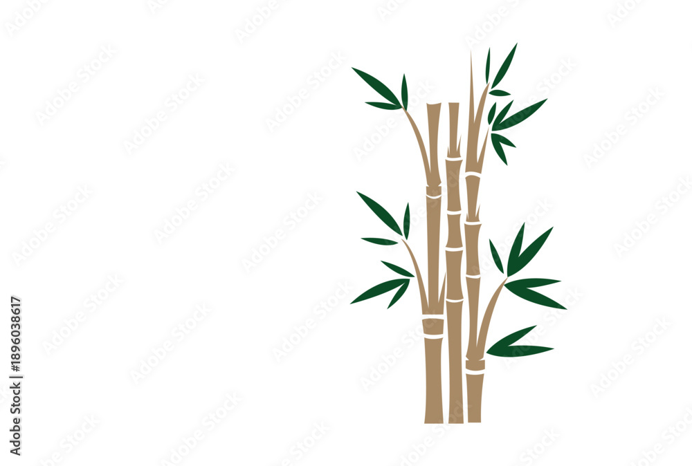 Naklejka premium Bamboo Plant Vector Illustration