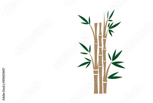 Bamboo Plant Vector Illustration