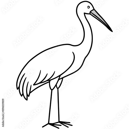 Stork line art vector