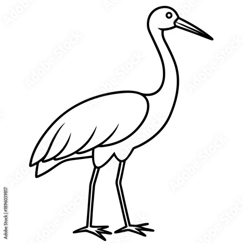 Stork line art vector