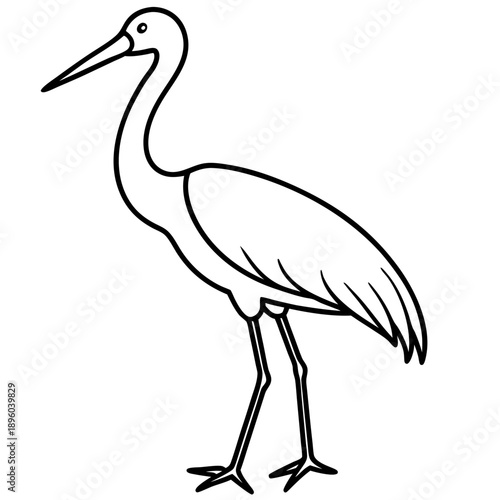 Stork line art vector