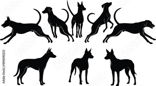Black silhouette set of various dog breeds and poses, running and standing canine icons, domestic animal collection isolated on white background vector illustration.