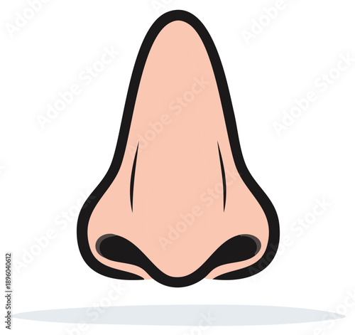 Simple cartoon illustration of a human nose. Vector graphic of a human body part for anatomy or smell concept.