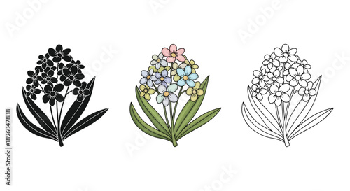 Set of three forget-me-not flower illustrations in black silhouette, colored drawing, and line art sketch styles