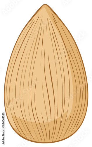 Single almond nut stylized illustration organic healthy nutritious snack food