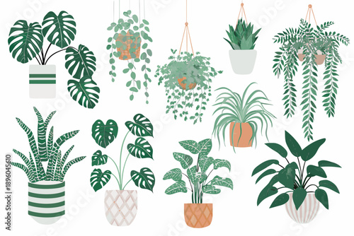 Collection of illustrated houseplants in various pots and hanging planters