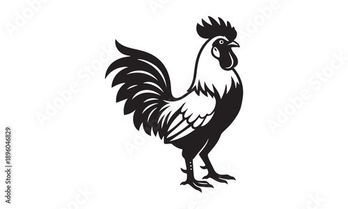 Stylized rooster silhouette, proud farm bird with detailed feathers and comb.