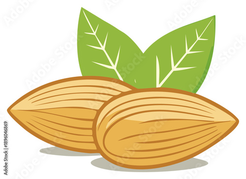 Two whole almonds with green leaves on a white background