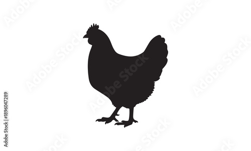 Black silhouette of a hen standing on a white background, farm animal vector graphic