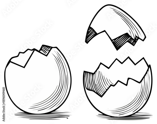 Two cracked eggshells shown from two different perspectives in a simple line art illustration