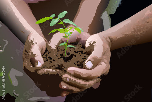 Hands cradling a small tomato plant seedling with soil