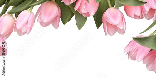 Elegant floral border made of soft pink tulip flowers and green leaves arranged along the top edge, creating a romantic frame with generous copy space on a transparent background.